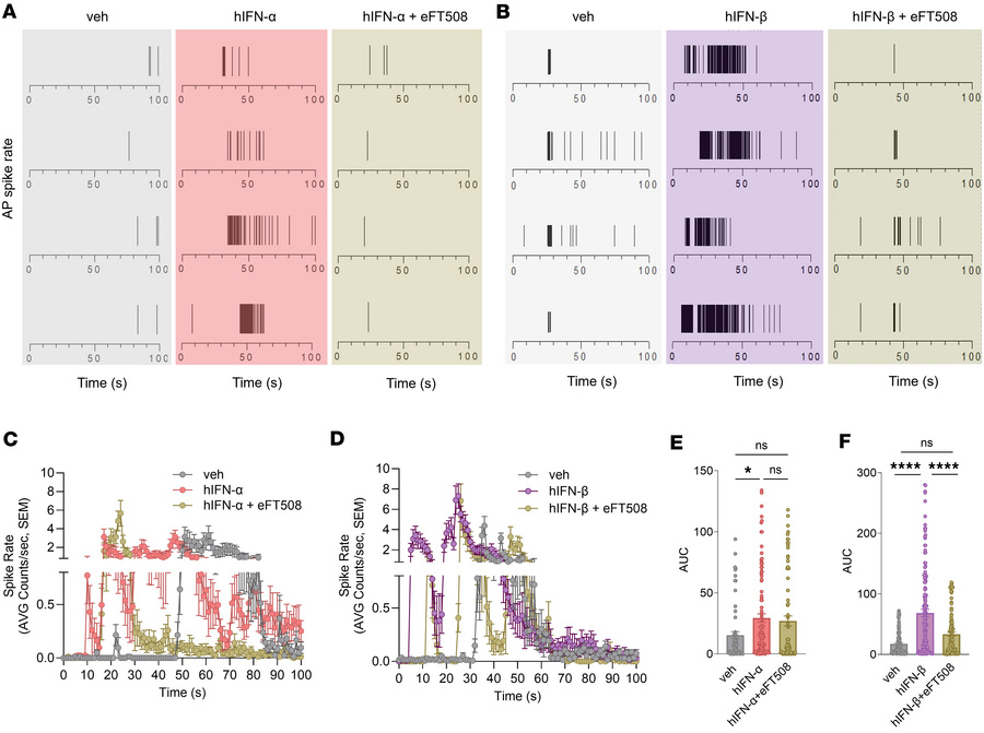 Type I IFNs increase the frequency of APs in hDRG neurons, and the MNK i...