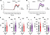 Type I IFN treatment induces sensitization to capsaicin treatment in hDRG n