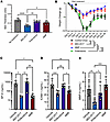 Comparator study of MDI-2517, pirfenidone, and mycophenolate mofetil.