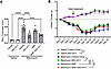 Comparator study of MDI-2517, MMF, and MMF plus MDI-2517.