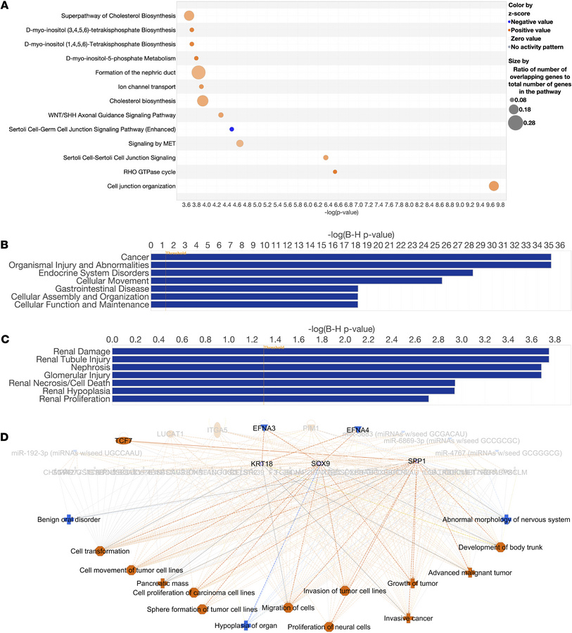 Delineating mechanisms of neurocristopathic tumorigenesis in Tsc2+/– mou...