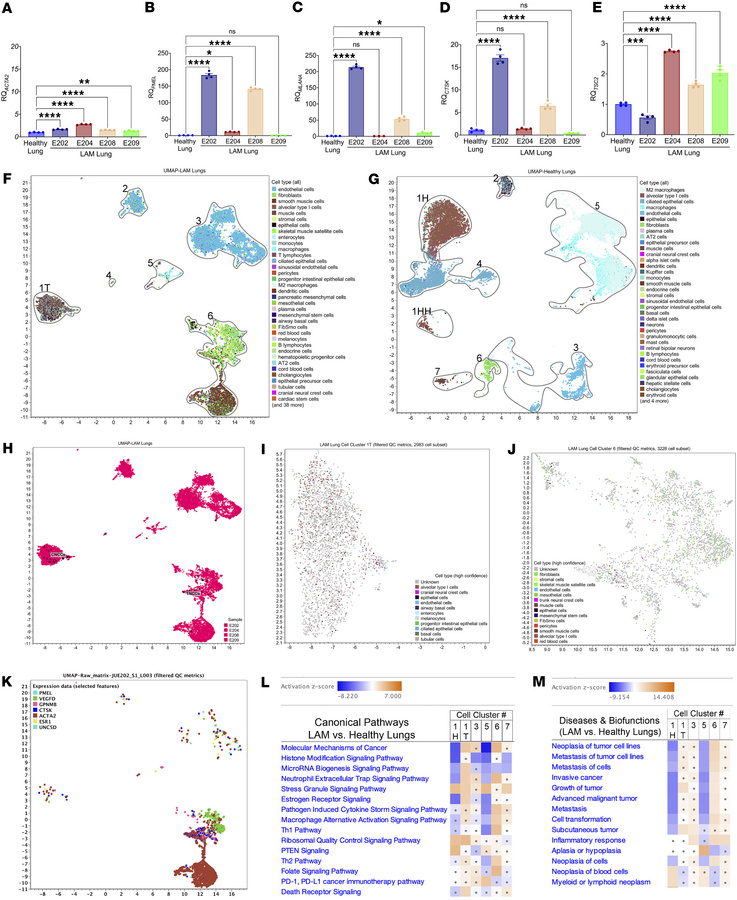 Multilineage NCCs in LAM pulmonary tumors.
(A–E) qPCR validation of know...
