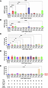 ELISA detection of neurocristopathic markers in LAM patient serum.