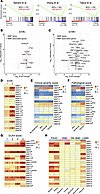 Elevated MMP and MMP-associated genes in FSHD patient biopsies.