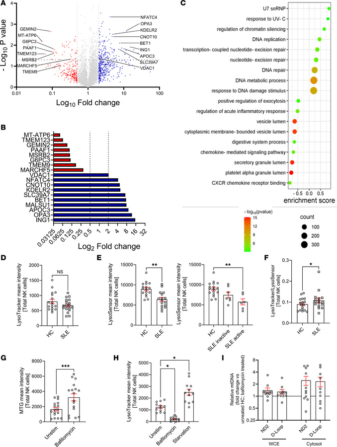 Defective lysosomal acidification drives mitochondrial dysfunction in SL...