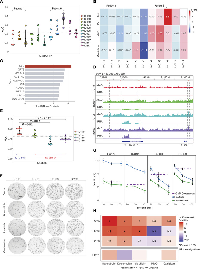 Treatment with an IGF1R inhibitor sensitizes IGF2-overexpressing CPM PDO...