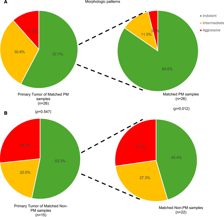 Subgroup analyses of matched primary and metastatic samples.
Integrated ...