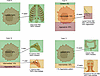 Comprehensive analyses of matched primary and nonpancreatic metastasis samp