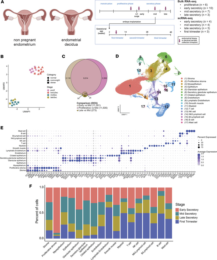 Identification of the transcriptomic profile and dynamic cell population...