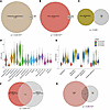 Endometrial receptivity array gene expression in bulk mRNA-Seq and scRNA-Se