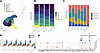 Stromal subcluster distribution and diffuse expression of in vitro decidual