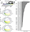 Collagen signaling between the stroma and epithelium during the secretory p