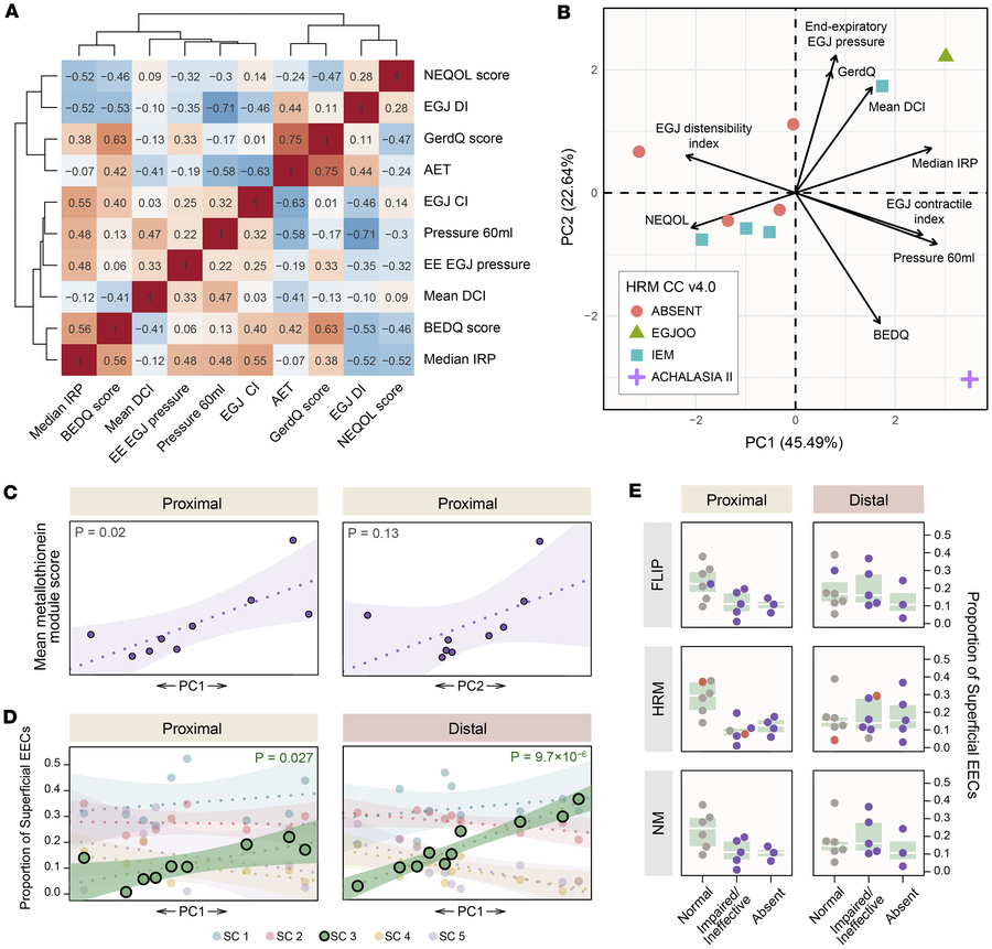Correlations with clinical phenotypes.
(A) Heatmap of quantitative clini...