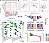 Intercellular interactions and spatial proximity.