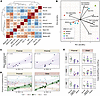 Correlations with clinical phenotypes.