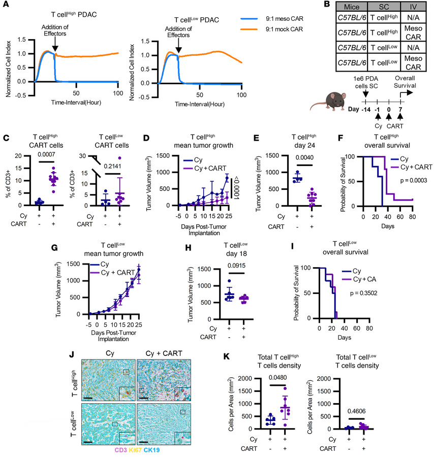 The immune microenvironment in PDAC determines adoptive T cell infiltrat...