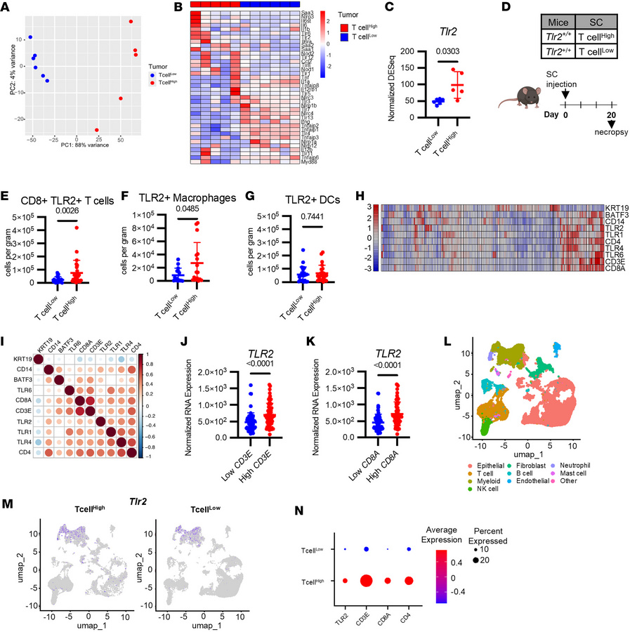 Innate immune signaling molecules correlate with increased tumor immune ...
