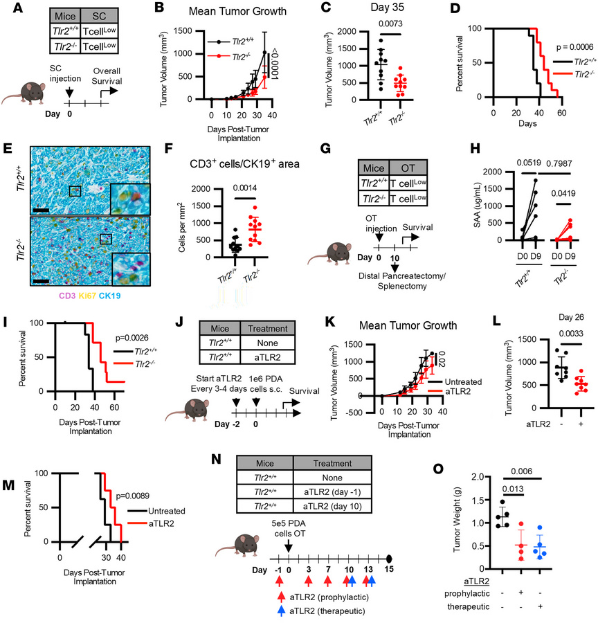 TLR2 is a therapeutic target in PDAC.
(A) Study schematic for B–F. T cel...