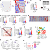 Innate immune signaling molecules correlate with increased tumor immune inf