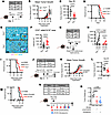 TLR2 is a therapeutic target in PDAC.