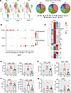 TRF reduces CD8+ T cell dysfunction in DIO mice.