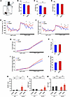 Indirect calorimetry shows increased energy expenditure in the absence of G