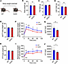 Dissociation of body weight, fat mass, and glucose and pyruvate tolerance i