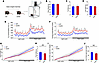 Indirect calorimetry in weight-matched WT and GcKO mice shows increased ene