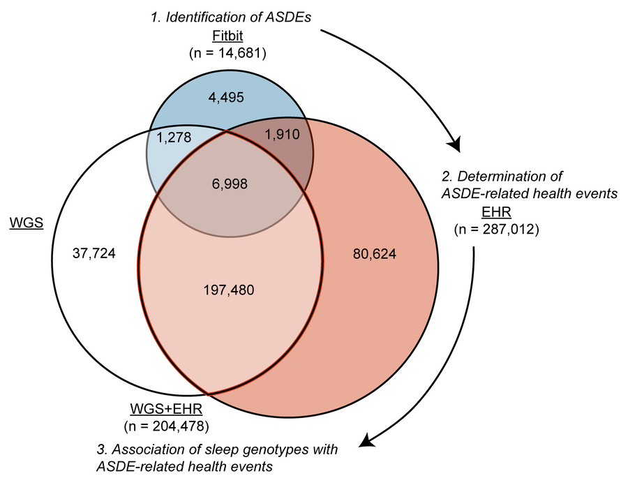 Subpopulations in the AoU populations and their utilizations.
Venn diagr...