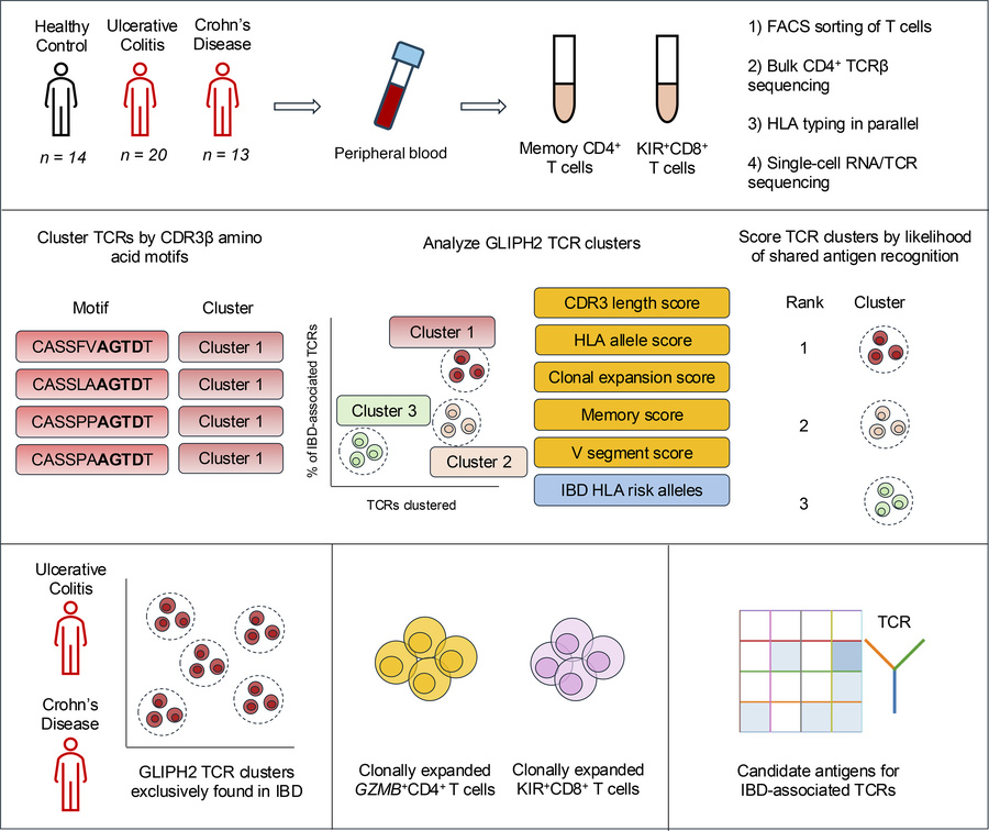 graphical abstract