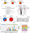 GLIPH2 to prioritize IBD-associated TCR specificity groups.