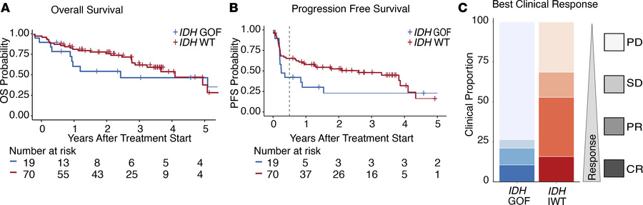 Intrinsic resistance to anti-PD1 therapy in patients with metastatic IDH...