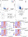 IDH GOF melanoma tumors are globally silenced and may promote resistance th