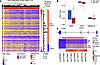 IDH GOF melanoma demonstrates global methylation and silencing of the cGAS