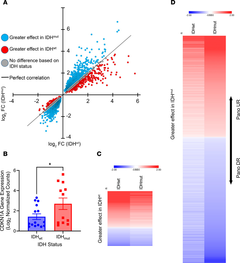 HDACi elicits a greater effect on gene regulation in IDHmut glioma.
(A) ...
