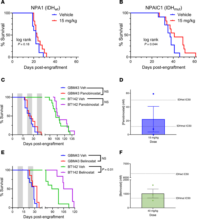 IDHmut predicts response to HDACi in intracranial xenograft models of gl...
