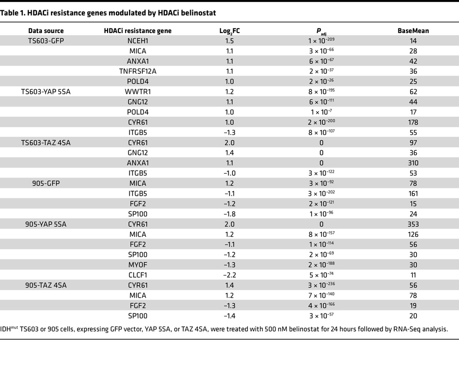 HDACi resistance genes modulated by HDACi belinostat