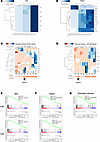 YAP or TAZ expression induces an HDACi resistance gene signature in IDHmut