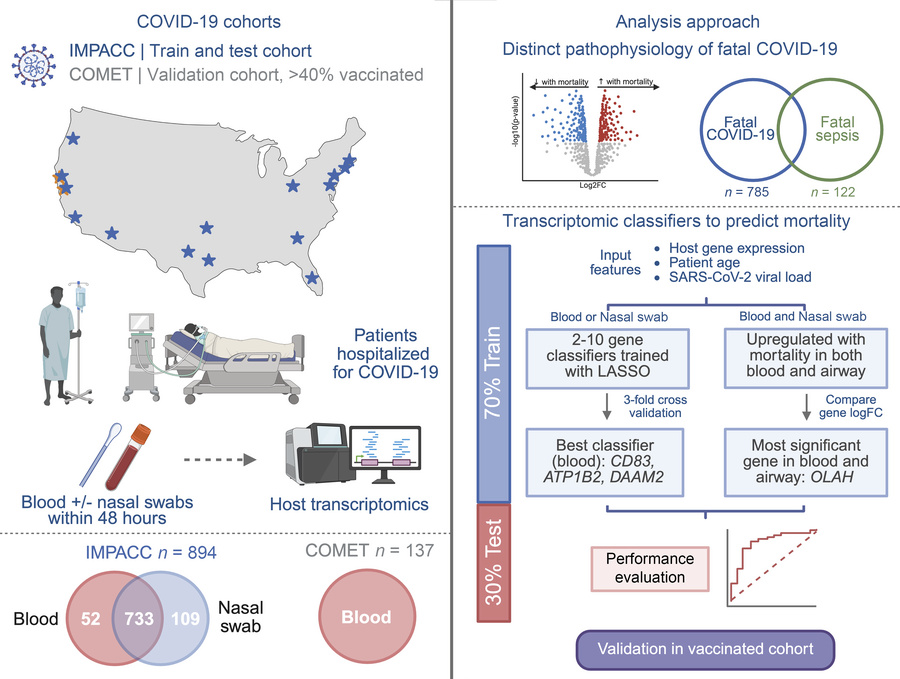 Overview schematic of study.
This study evaluated 894 patients hospitali...