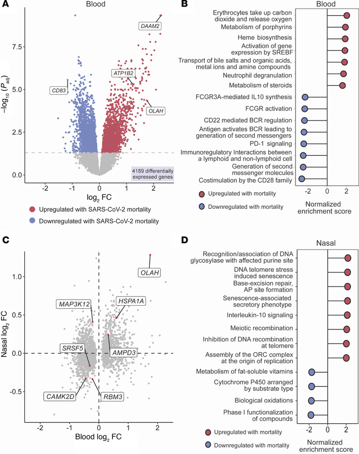 Early host gene expression signatures of mortality in the peripheral blo...