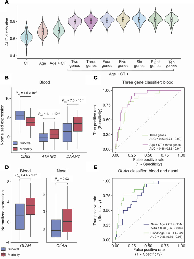 Parsimonious host-viral classifiers predict COVID-19 mortality.
(A) Viol...
