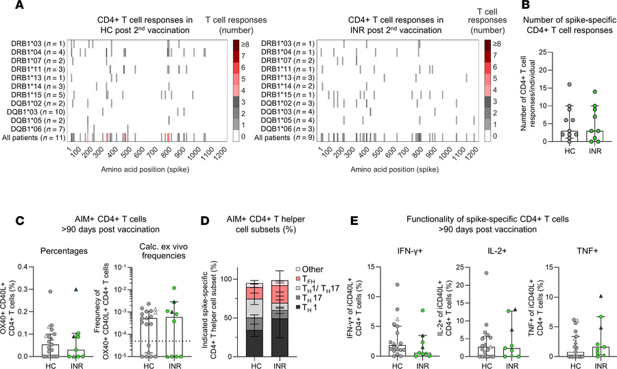 Comparable spike-specific CD4+ T cell responses in immunological nonresp...