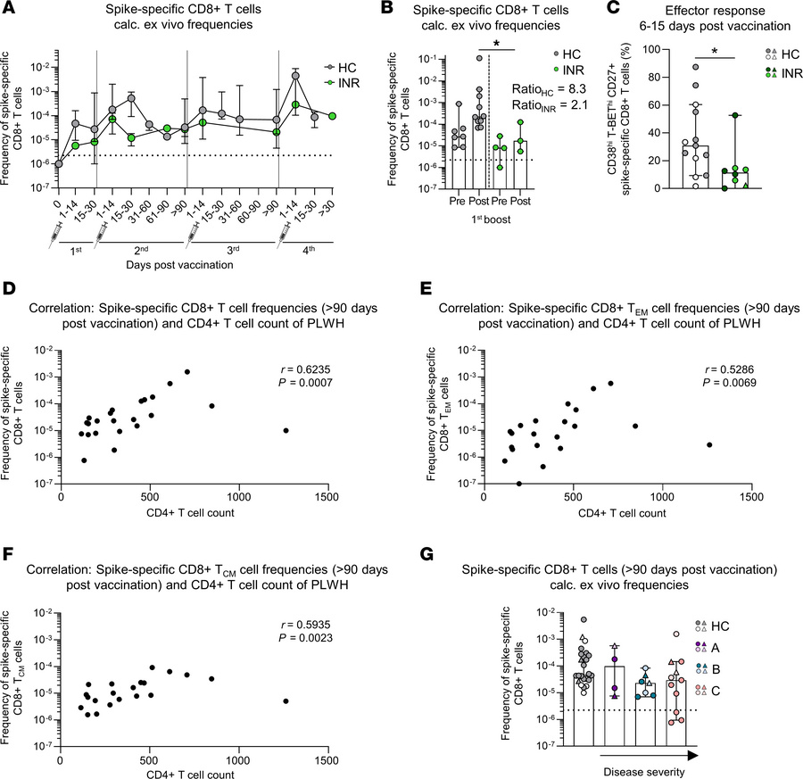 Spike-specific CD8+ T cell responses are linked to CD4+ T cell counts.
(...