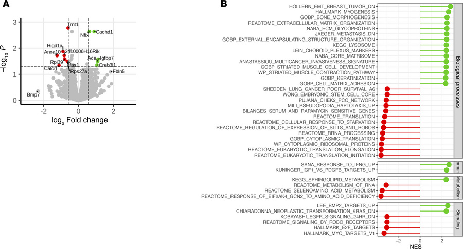 Gene expression changes in tumor cells from obese mice and altered pathw...