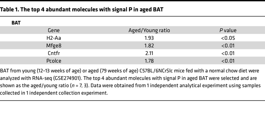 The top 4 abundant molecules with signal P in aged BAT