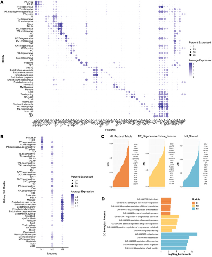 Integration of single-cell transcriptomics and urinary proteins identifi...
