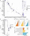 Integration of single-cell transcriptomics and urinary proteins identifies