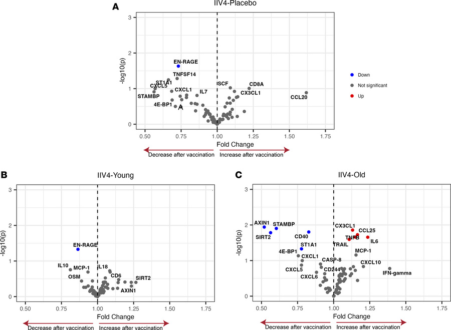 IIV4-induced changes in circulating protein concentrations in young and ...