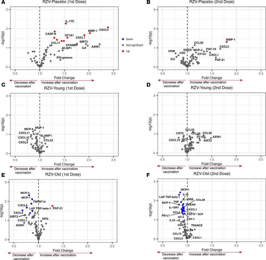 RZV-induced changes in circulating protein concentrations in young and o...
