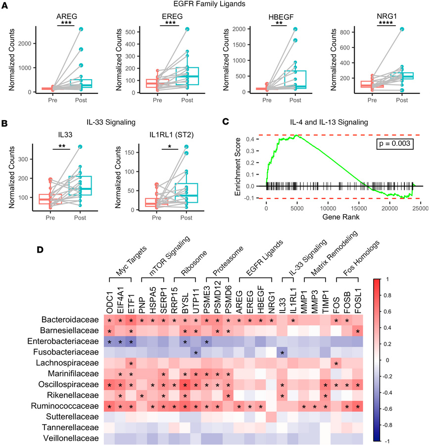 FMT promotes EGFR family ligand and IL-33 signaling gene expression.
(A ...